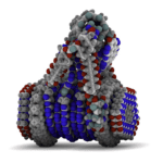 Molecular illustration 2